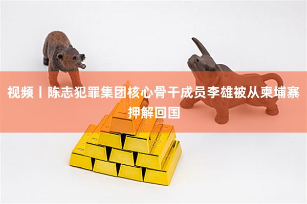 视频丨陈志犯罪集团核心骨干成员李雄被从柬埔寨押解回国